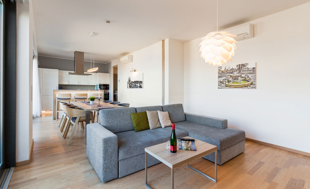 4-zimmer-apartment_02